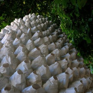 V60 Filters 02 (100 шт)